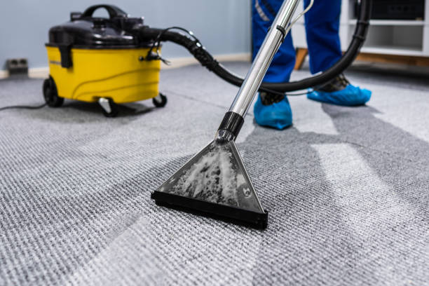 Quality Carpet Cleaning for a Healthier Home